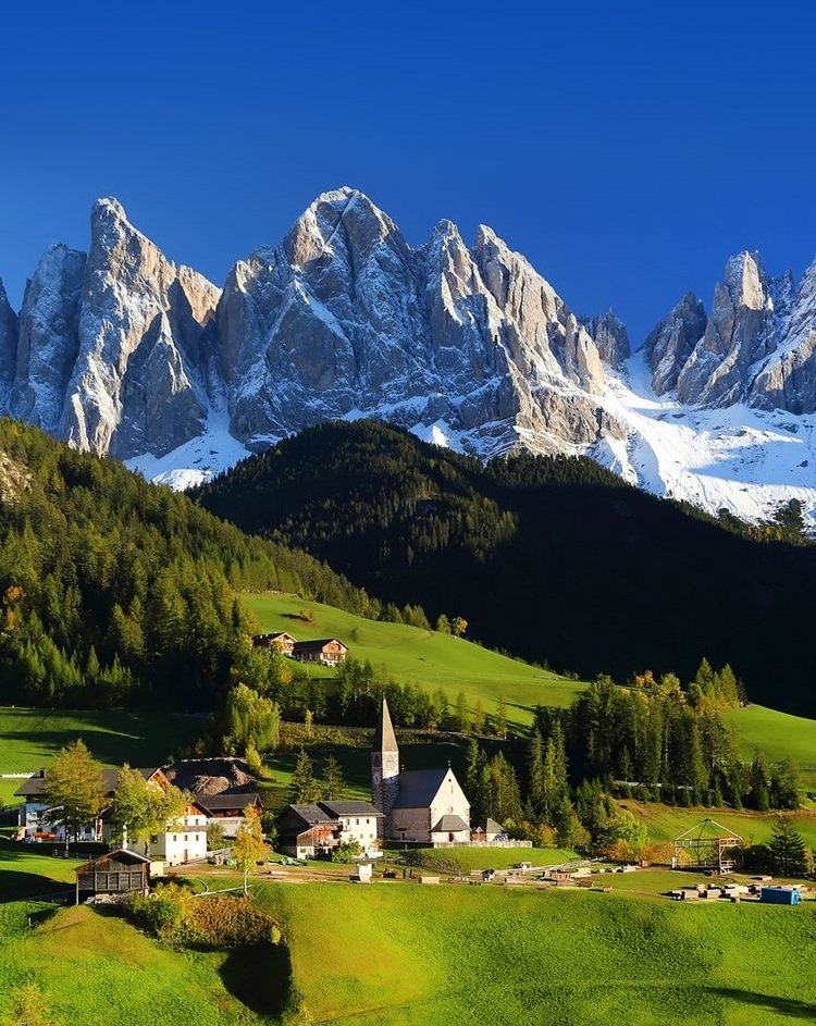 Experiencia Gastronómica